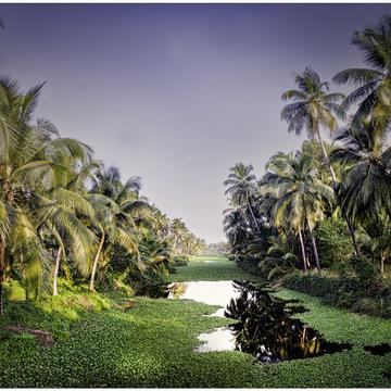 The Backwaters of Agalad, India