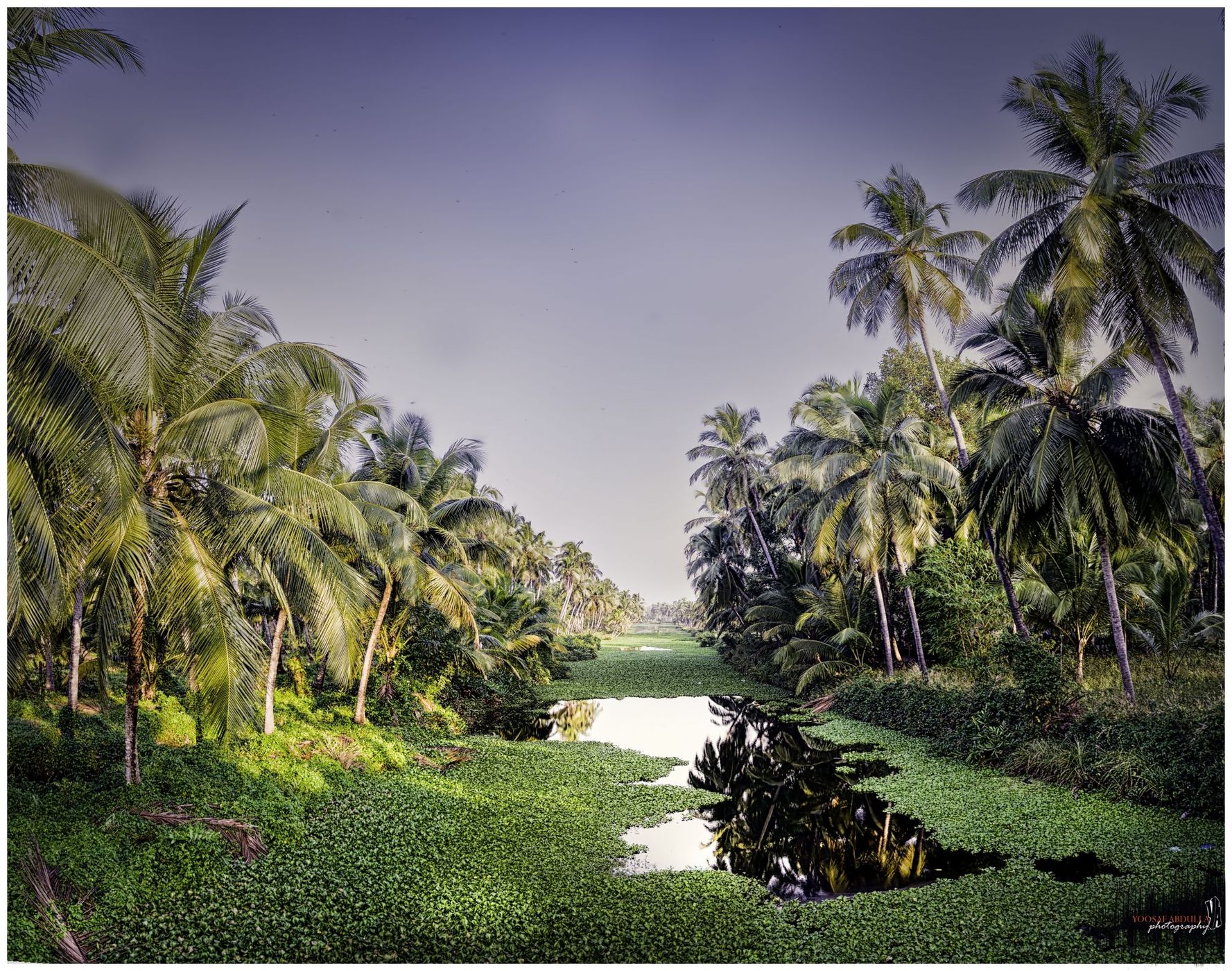 The Backwaters of Agalad, India