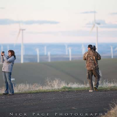 Windmills at Covello, USA