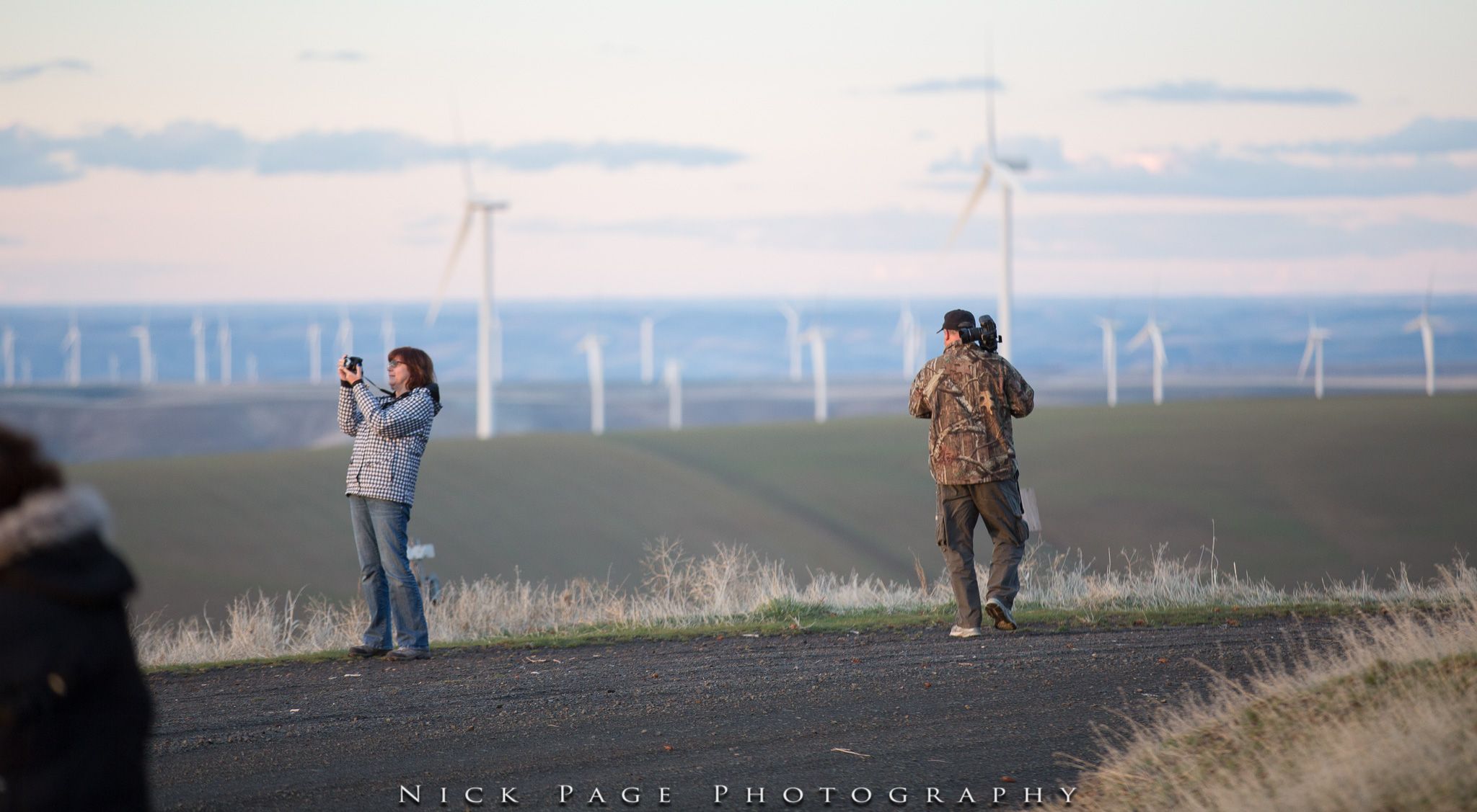 Windmills at Covello, USA