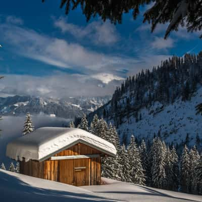 Winter wonderland in the Oberallgäu, Germany