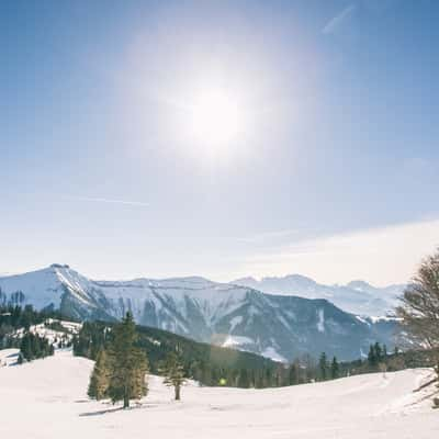 Anzenbergalm, Austria