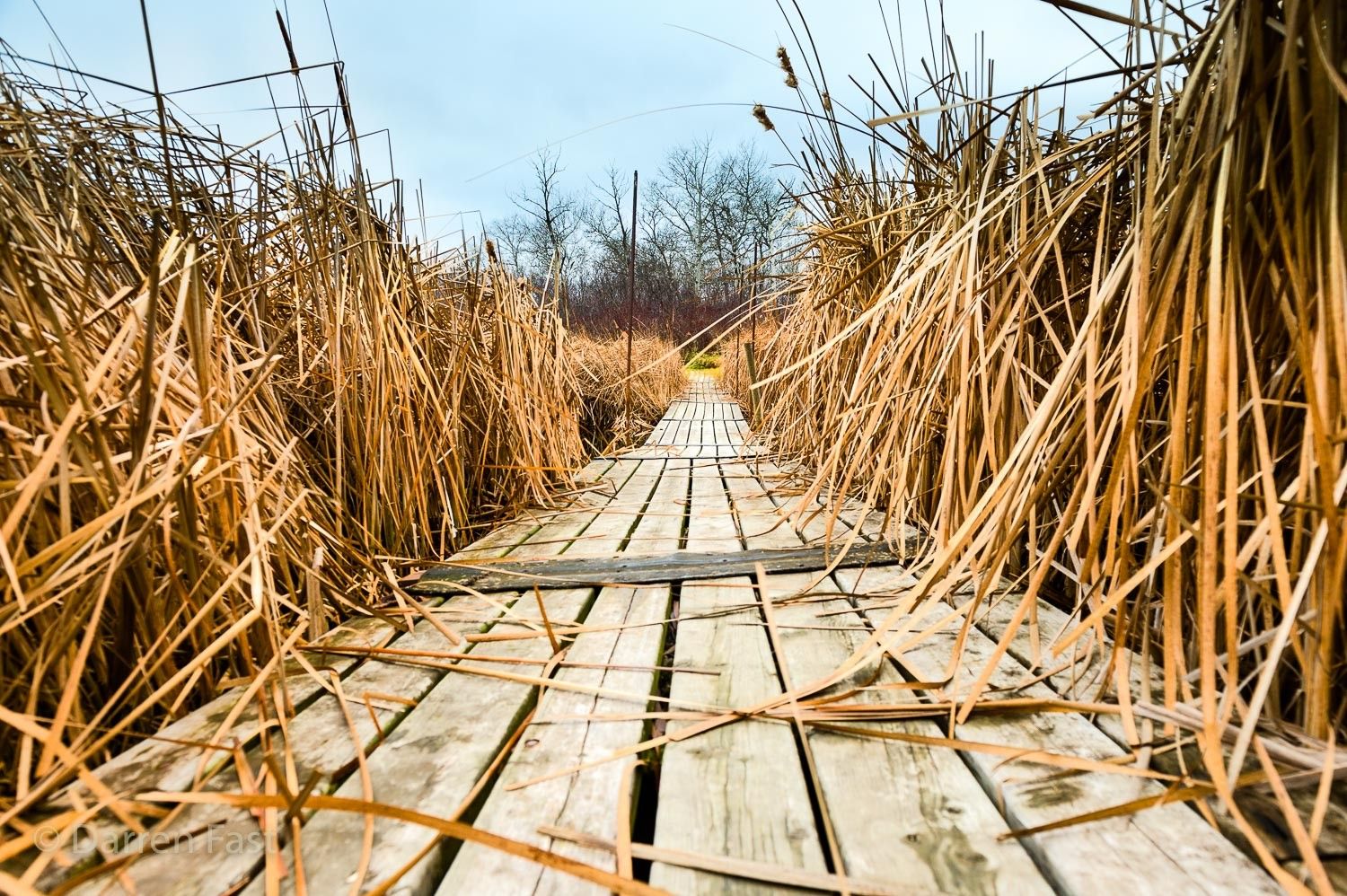 Binney Corner Nature Preserve, Canada