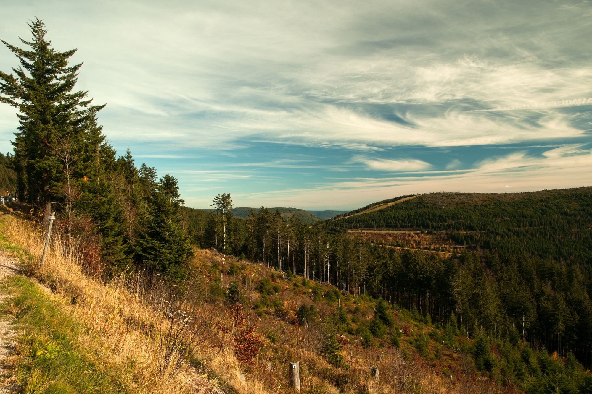 Blick über den Schwarzwald, Germany