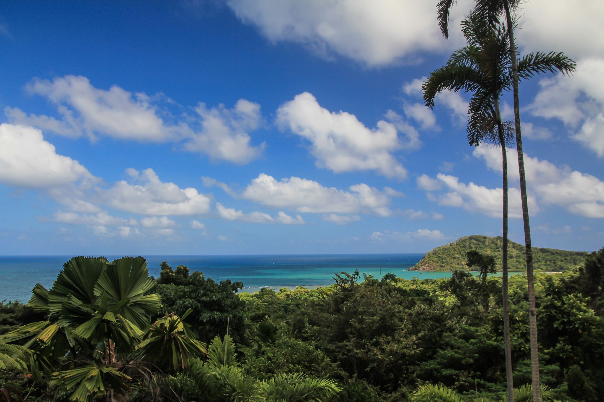 Cape Tribulation, Australia