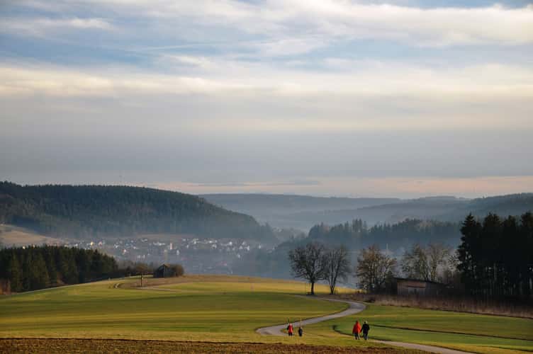 Der weiße Weg