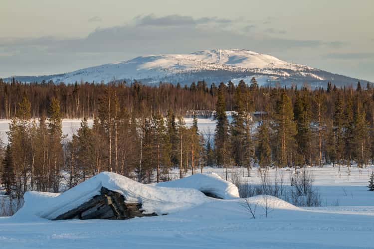 Galleria Raekallio, Pöntsö, Lapland
