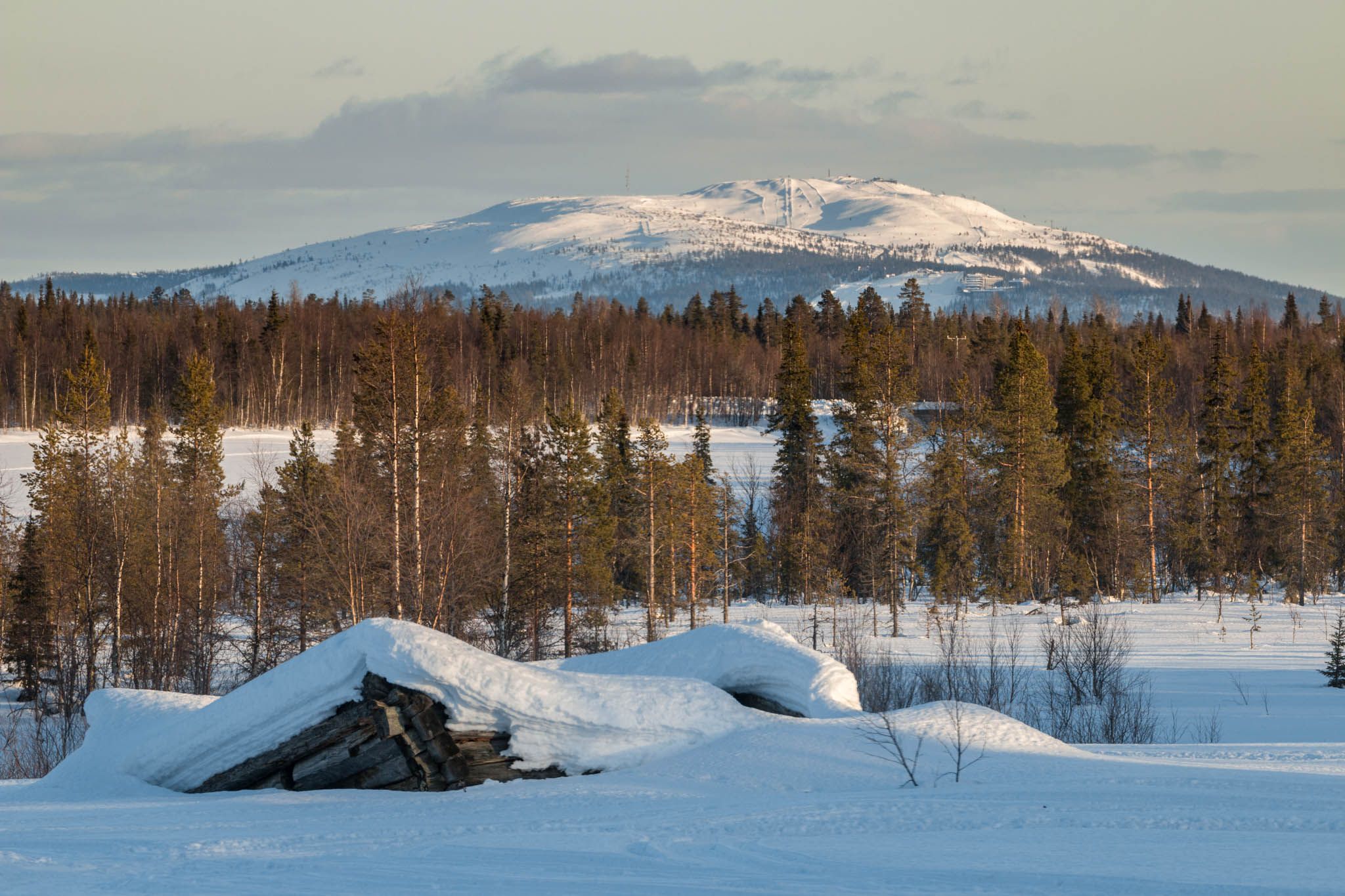 Galleria Raekallio, Pöntsö, Lapland, Finland