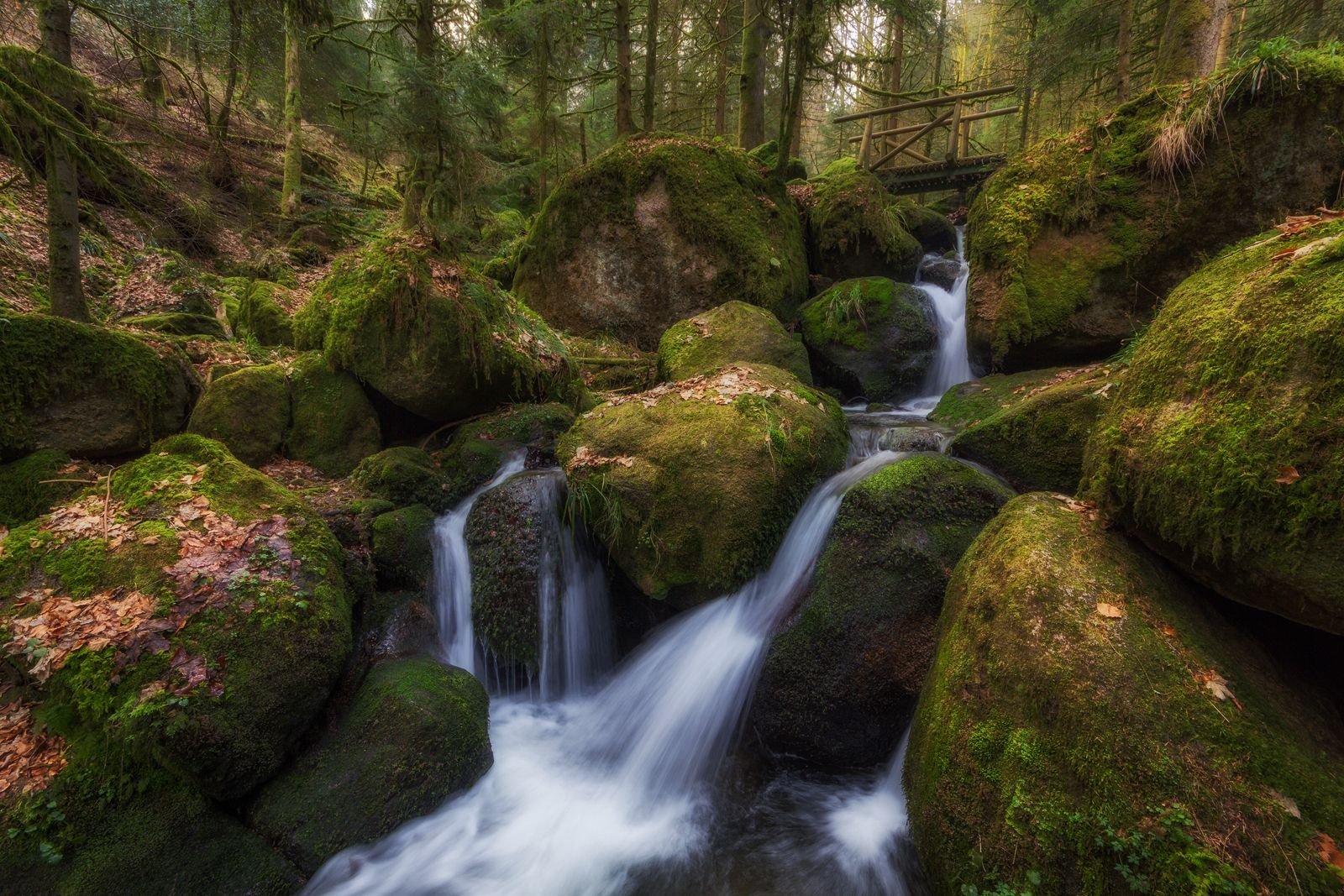 Gertelbach (Bühlertal), Germany