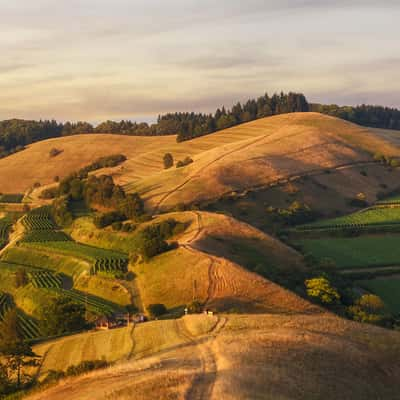 Haselschacher Buck, Kaiserstuhl, Germany