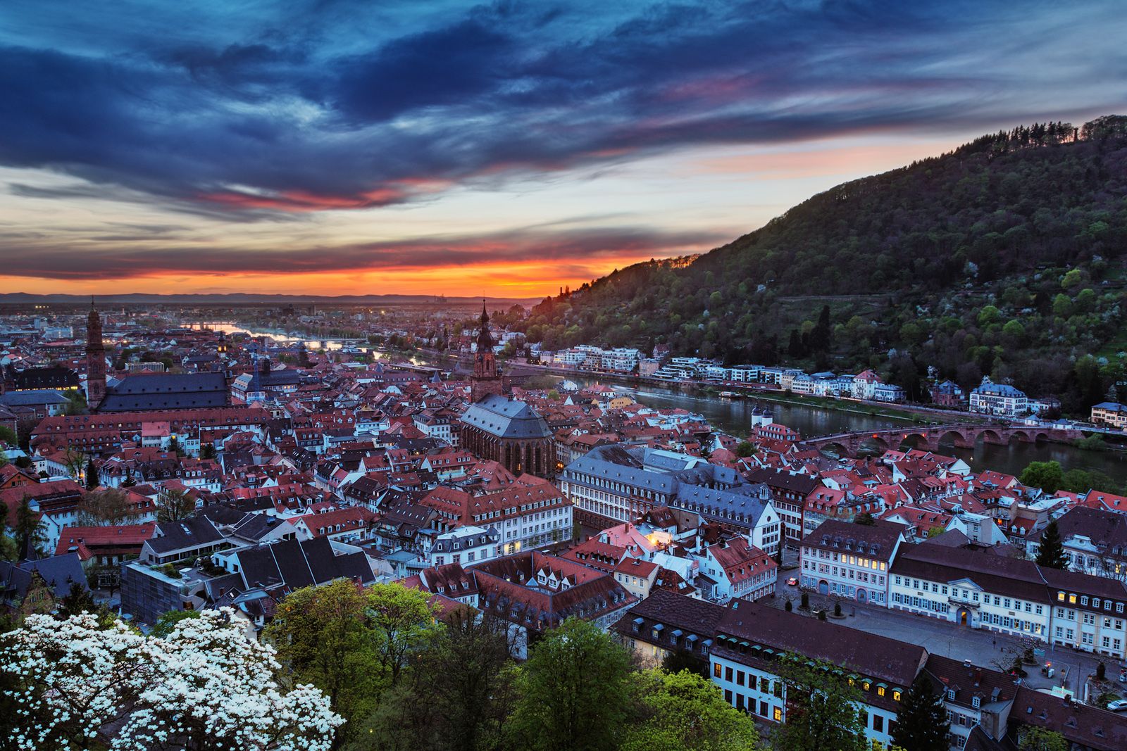 Heidelberg Cityview, Germany