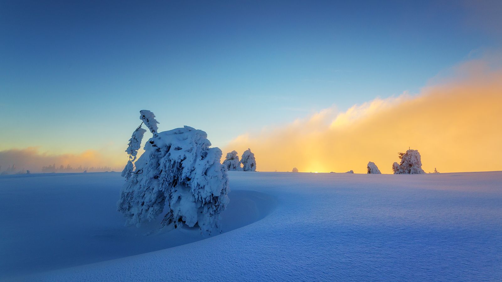 Hornisgrinde Black Forest, Germany