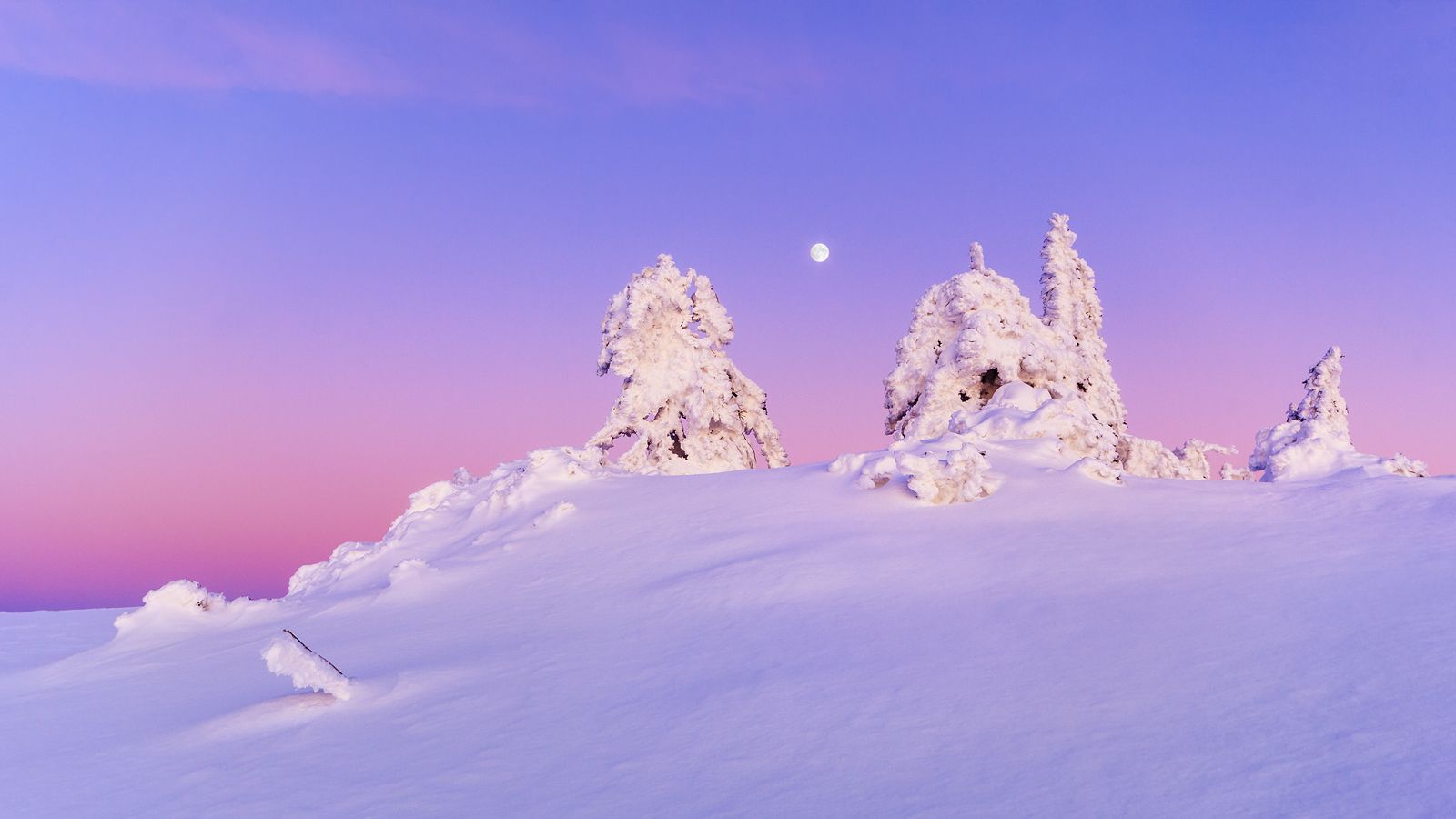 Hornisgrinde Black Forest, Germany