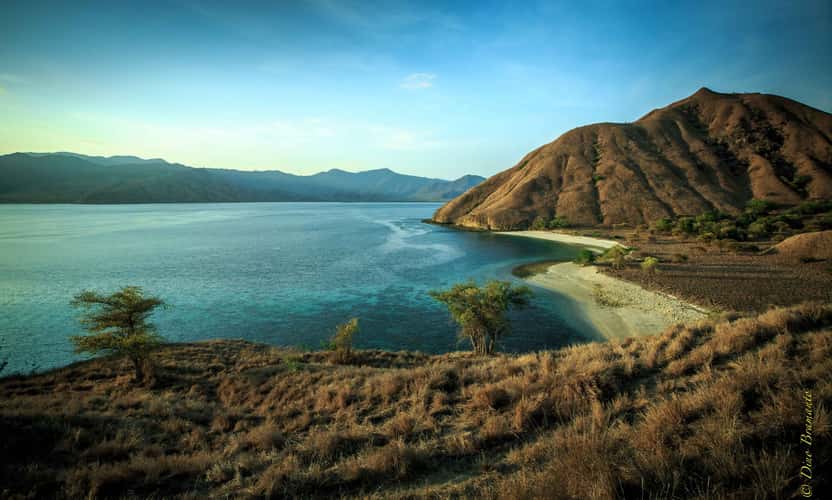 Komodo Island and Pinky Beach