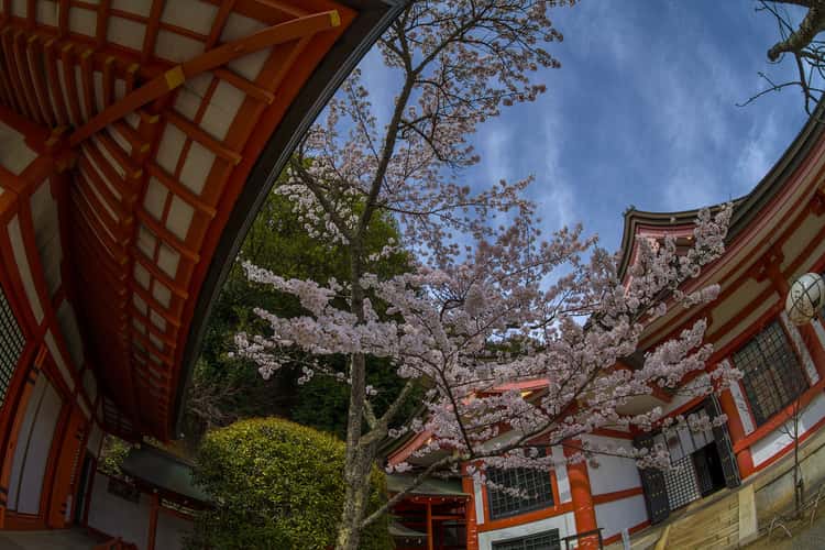 Kurama temple mountain trail to Kibune