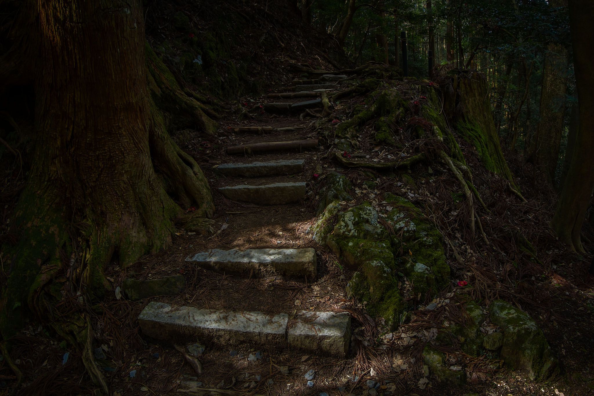Kurama temple mountain trail to Kibune, Japan