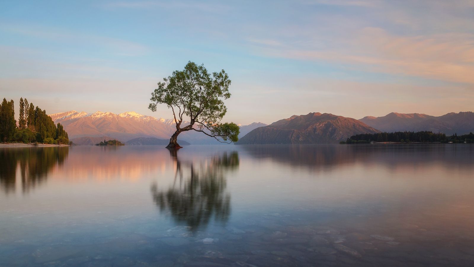 Lake Wanaka - The lonely Tree, New Zealand