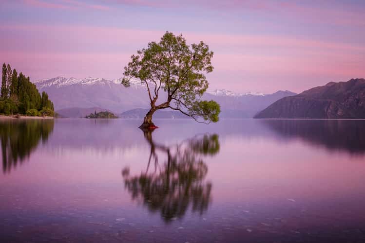 Lake Wanaka - The lonely Tree