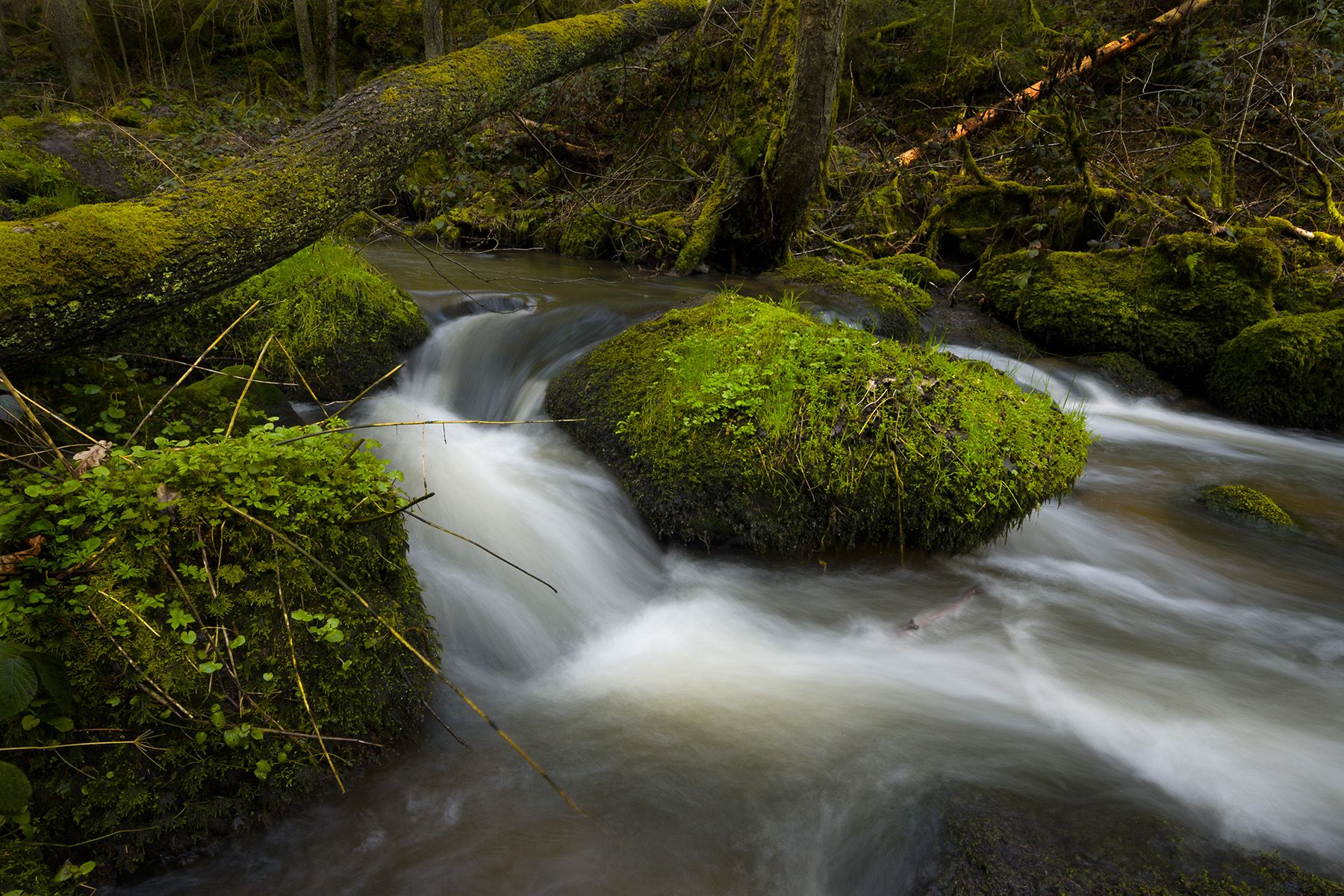 Lerautal, Germany
