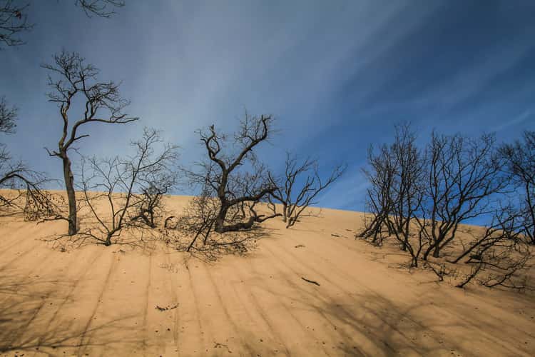 Mount Baldy - Dunes
