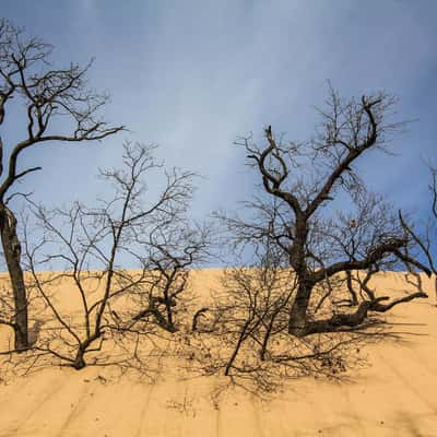 Mount Baldy - Dunes, USA