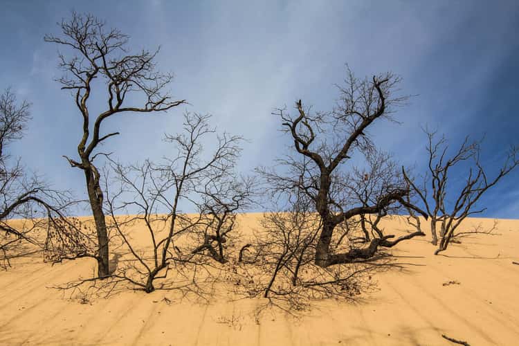 Mount Baldy - Dunes