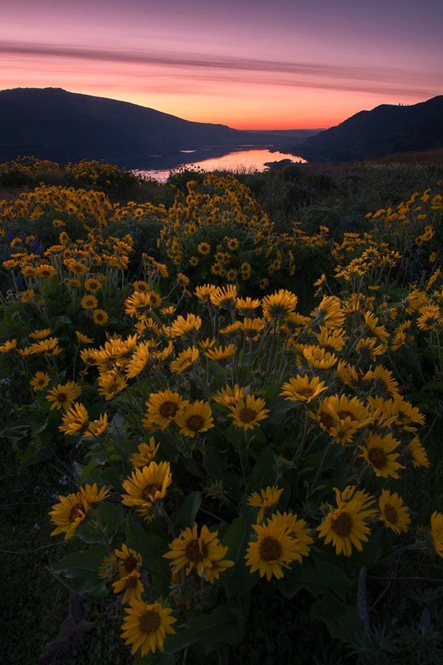 Rowena Crest, USA