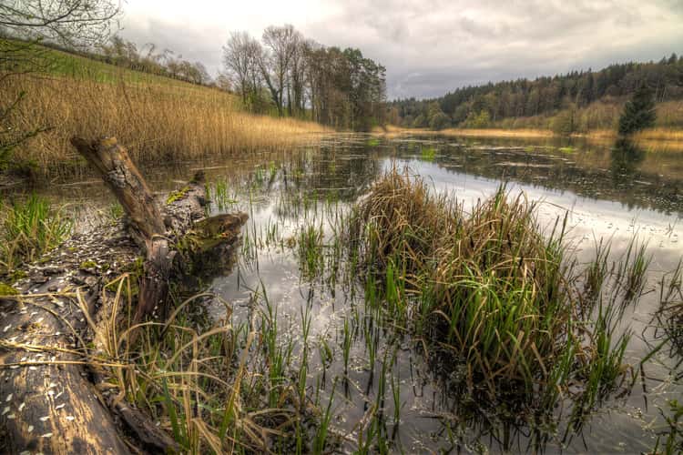 Small Lake