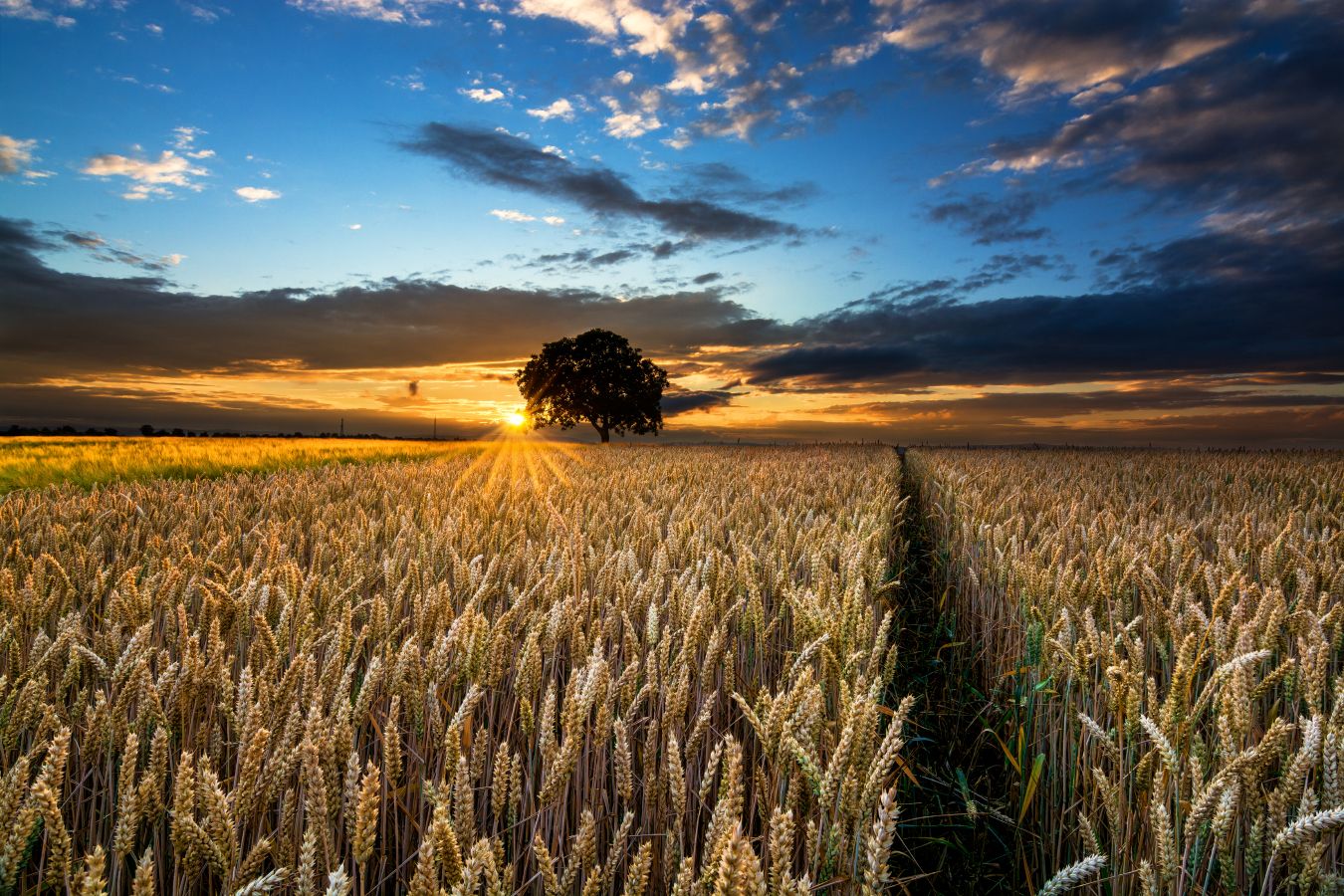 Sunset over the Field, Germany
