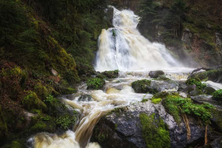 Triberg, Black Forest