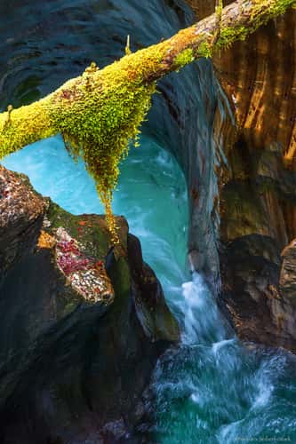 Valley of Soca