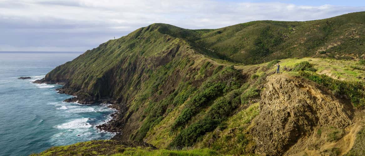 Cape Reinga