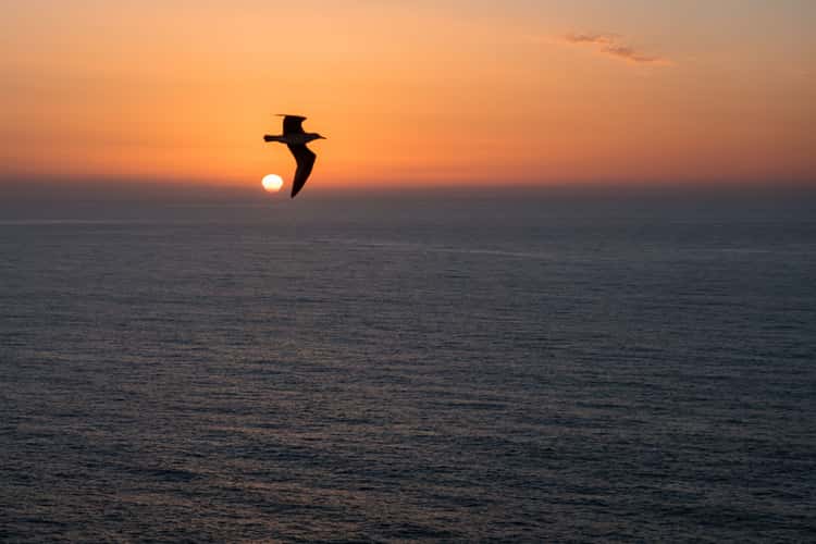 Cape St. Vincent, Algarve