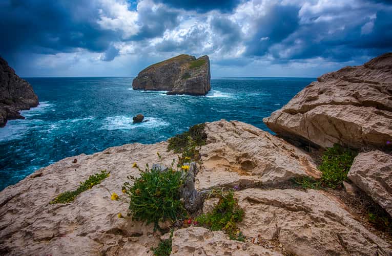 Capo caccia