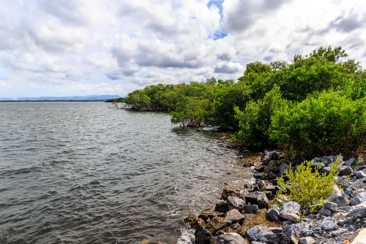 Cayo Jutias