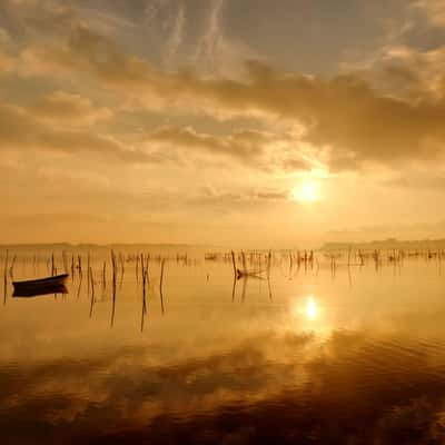 印旛沼　日の出撮影ポイント　inbanuma sunrise spot, Japan