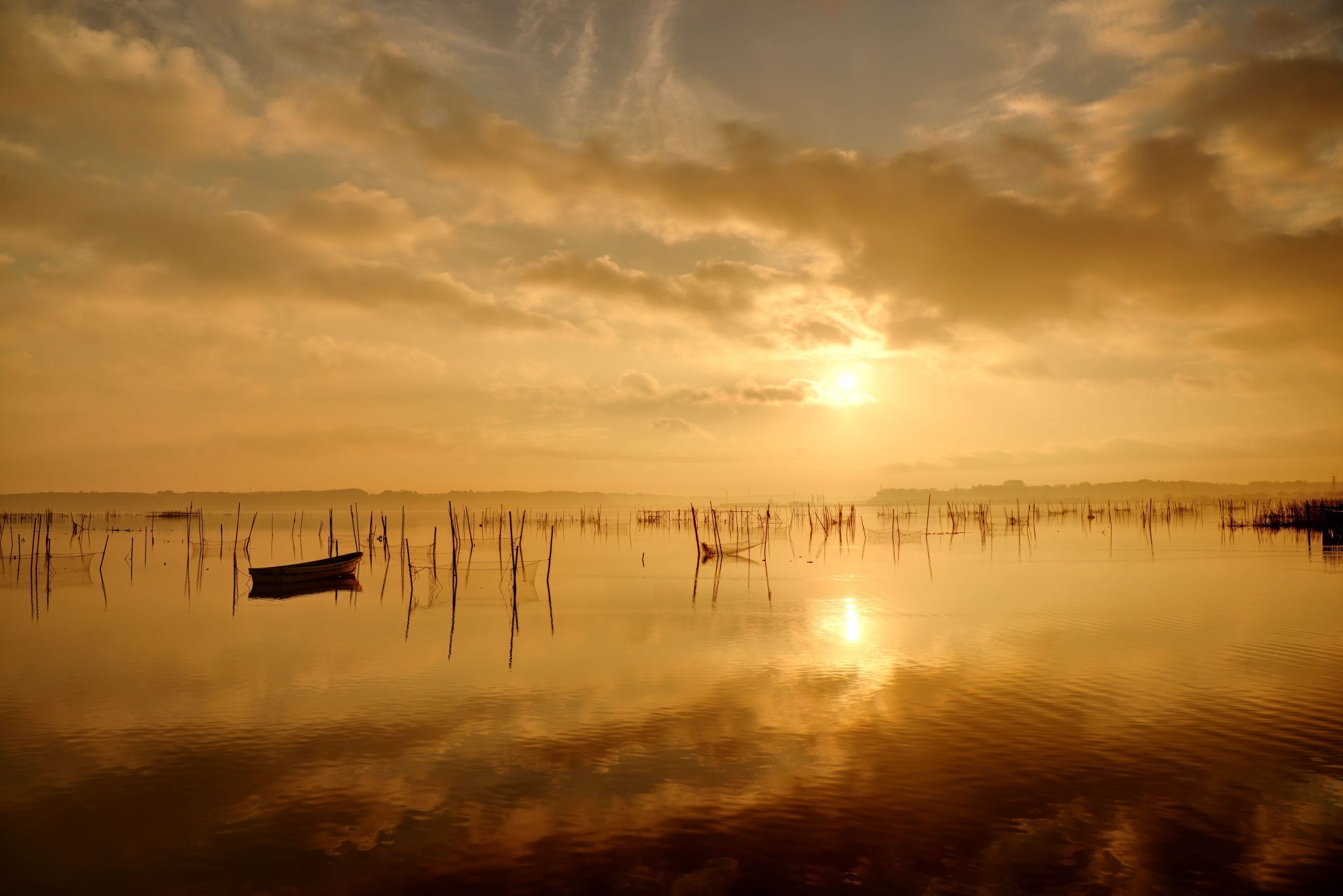 印旛沼　日の出撮影ポイント　inbanuma sunrise spot, Japan