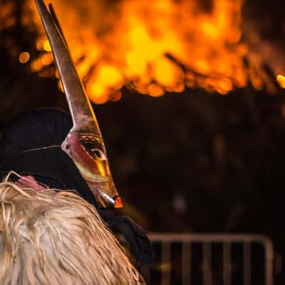 Festa Sant Antonio Ottana, Italy