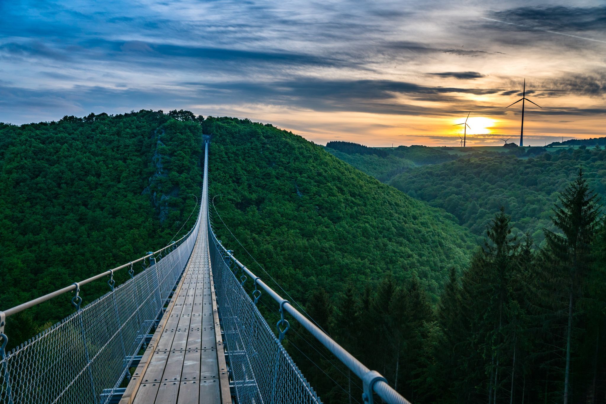 On the rope bridge, Germany