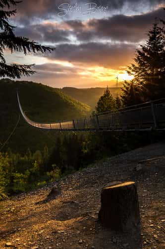 Hängeseilbrücke Geierlay