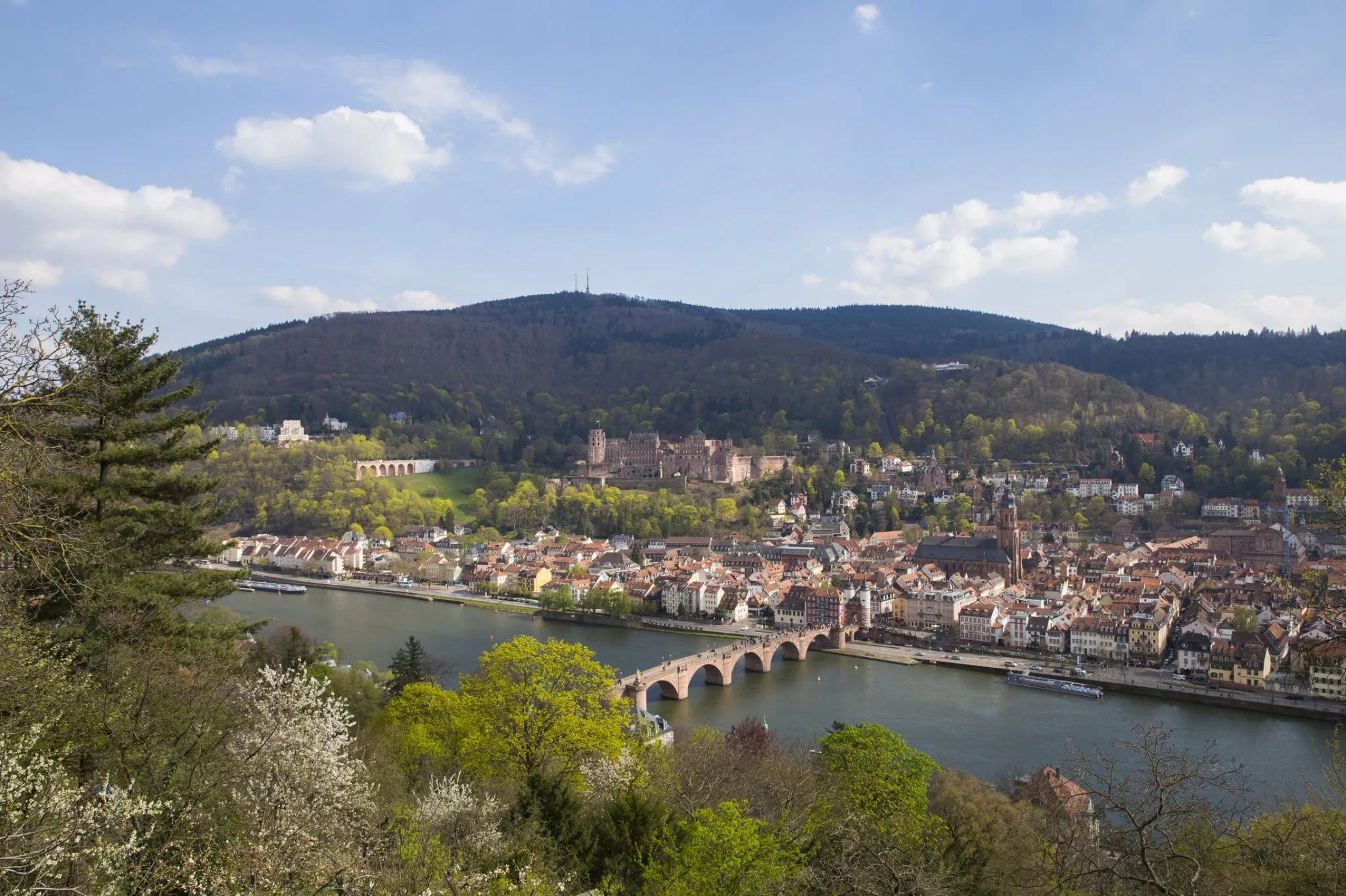 Heidelberg view from Philosophenweg, Germany