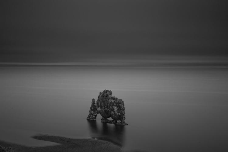 Hvitserkur at night - black and white picture