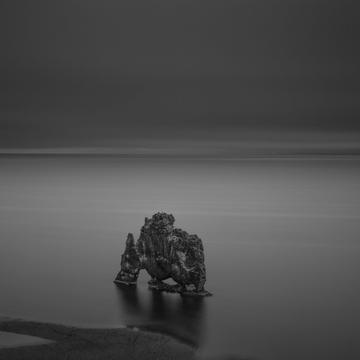 Hvitserkur at night - black and white picture, Iceland