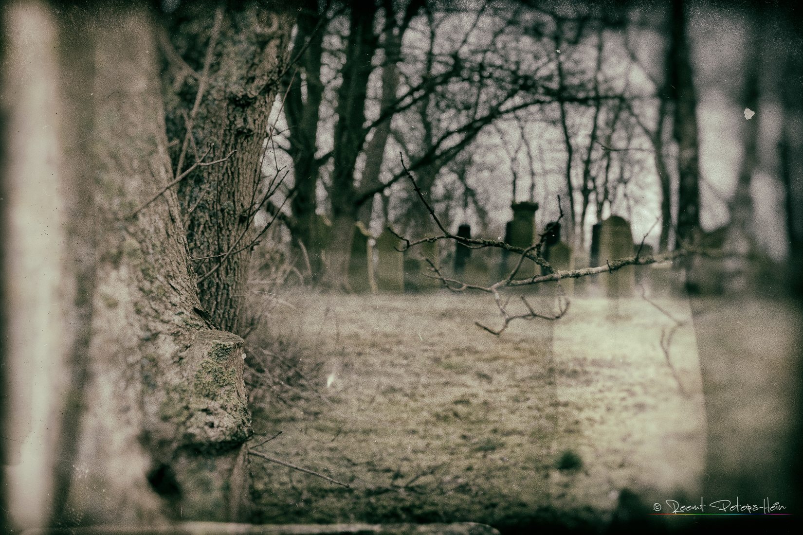 Jewish Cemetery, Germany