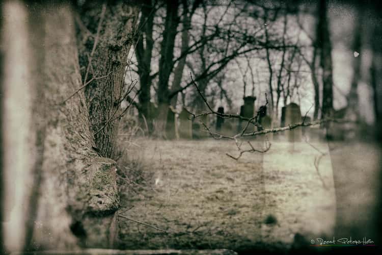 Jewish Cemetery