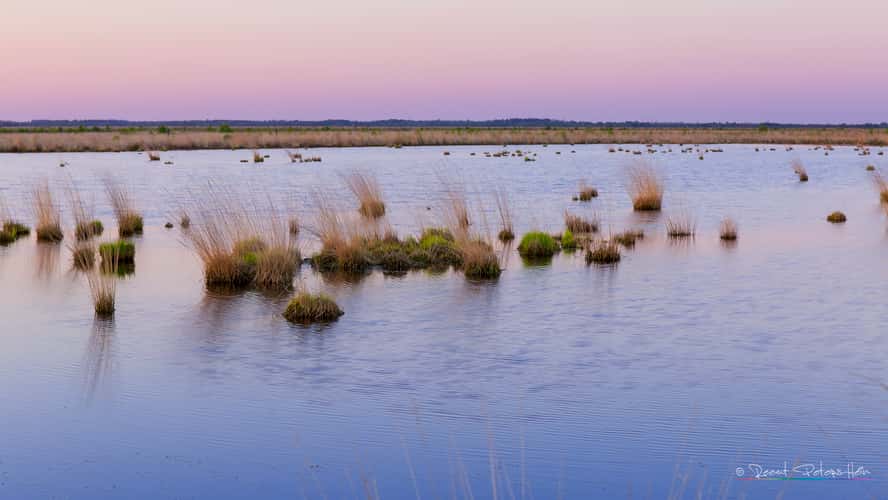 Moorerlebnispfad Stapeler Moor