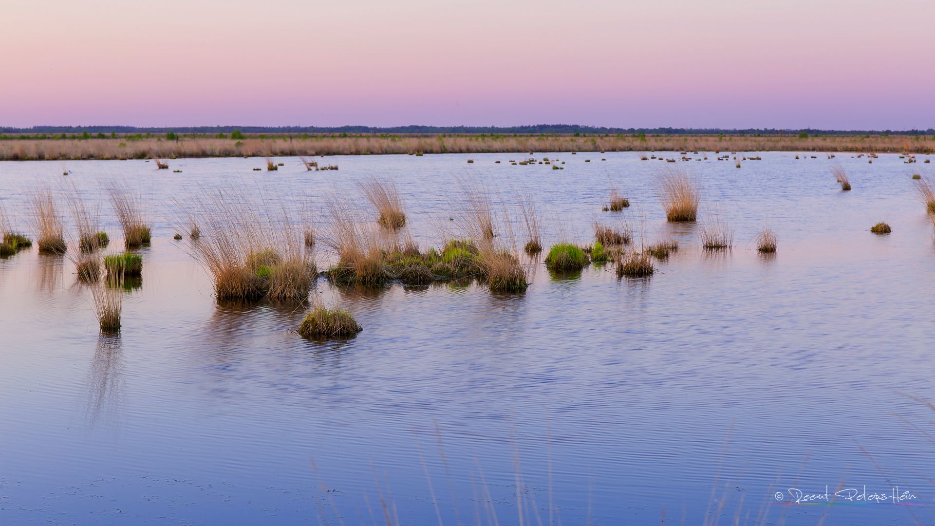 Moorerlebnispfad Stapeler Moor, Germany