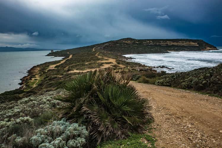 Penisola del Sinis
