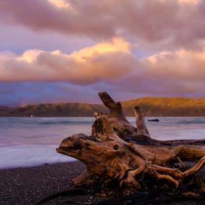 Seatoun beach, Wellington, New Zealand, New Zealand