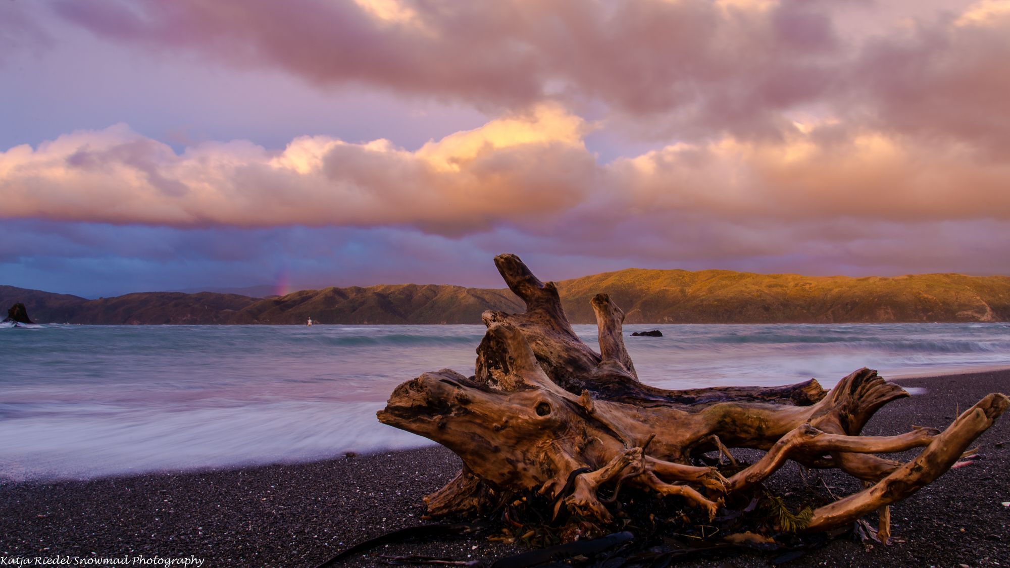 Seatoun beach, Wellington, New Zealand, New Zealand